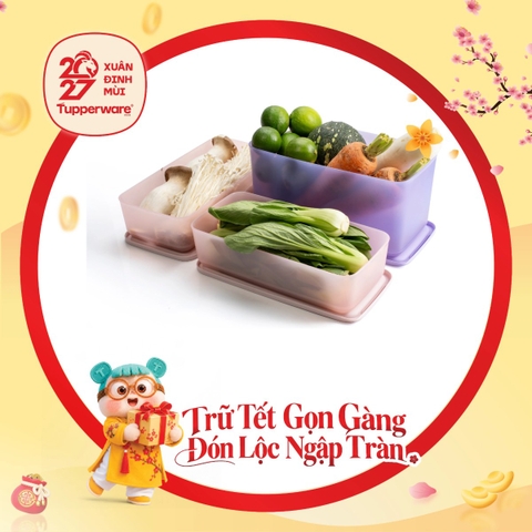 Bộ 3 Hộp Trữ Mát Tupperware Cubix Rectangle 3.1L & 1.4L