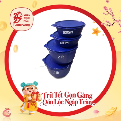 Bộ 4 Hộp Trữ Mát Tupperware Modular Bowl 600ml & 2L - Xanh Dương Đậm