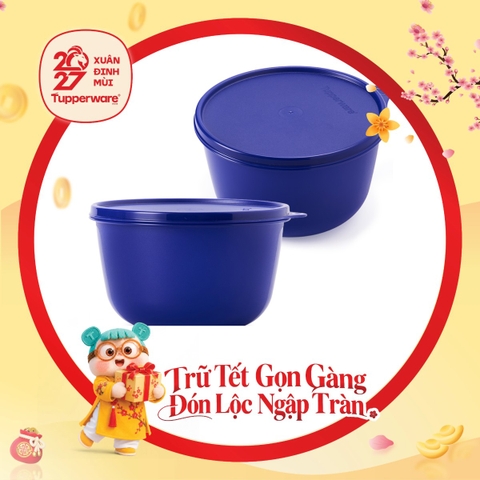 Bộ 4 Hộp Trữ Mát Tupperware Modular Bowl 600ml & 2L - Xanh Dương Đậm