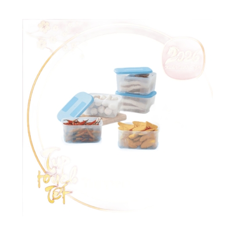 Bộ 6 Hộp Trữ Đông Tupperware Basic 650ml - Nắp Xanh