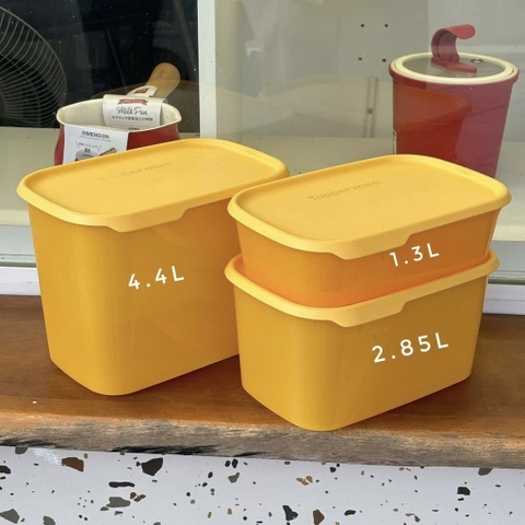 Bộ 3 Hộp Tupperware Trữ Mát / Khô One Touch - Màu Vàng