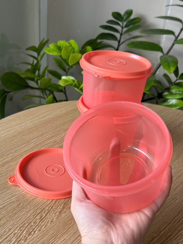Hộp Tupperware Mát Tròn Snack & all 450ml - Tupperware Malaysia Chính Hãng