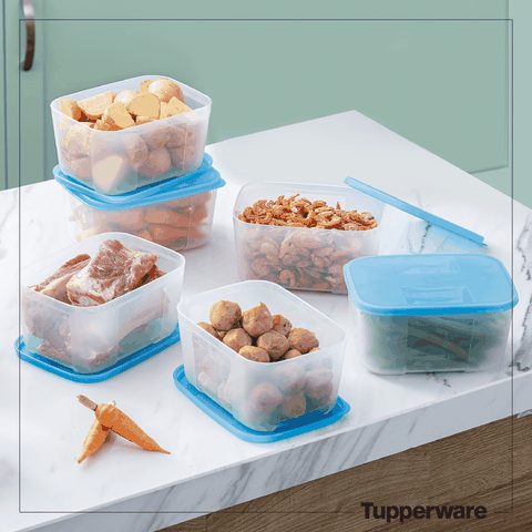Bộ Hộp Tupperware Trữ Đông Freezermate 650ml (6 Hộp)