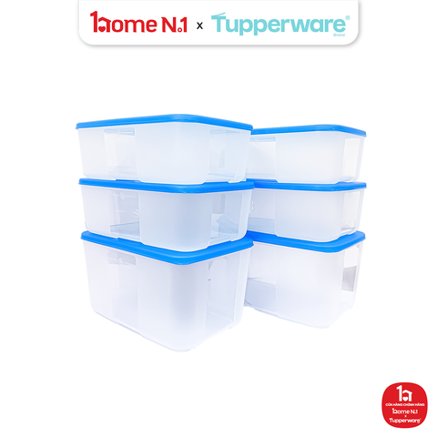 Bộ 6 Hộp Trữ Đông Tupperware Gen I Medium 2.3L & 1.5L - Nắp Hồng