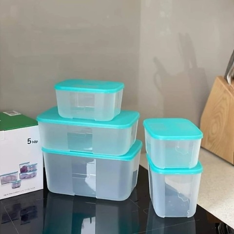 Bộ Hộp Tupperware Trữ Đông Paradise (5 hộp)