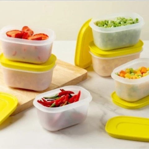 Hộp Tupperware Trữ Đông Mini Freezermate Gen II 170ml (01 Hộp)