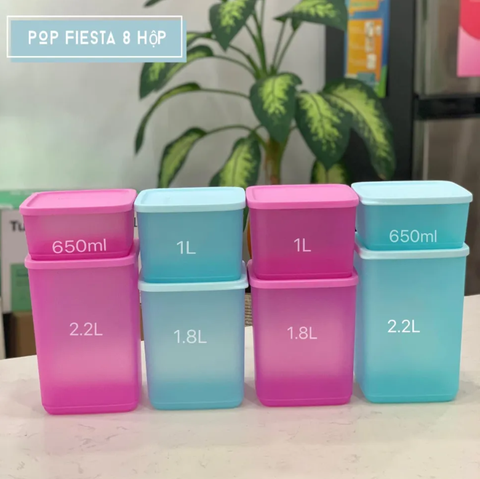 Bộ Hộp Tupperware Bảo Quản Thực Phẩm Pop Fiesta (8 Hộp)