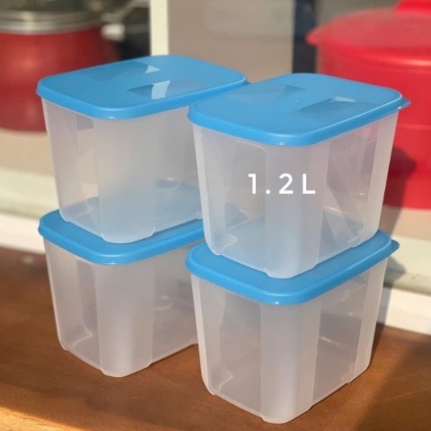 Tuptrung Hộp Đông Nắp Xanh Paradise Đủ size