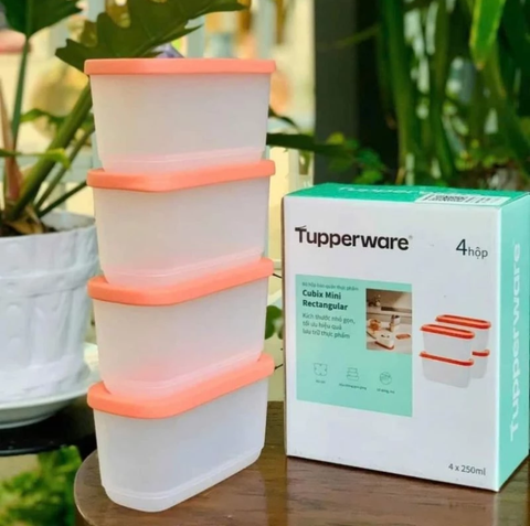 Bộ Hộp Tupperware Bảo Quản Thực Phẩm Mini Rectangular (4 hộp)