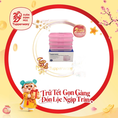 Hộp Trữ Đông Dẹt Tupperware 650ml - Nắp Hồng