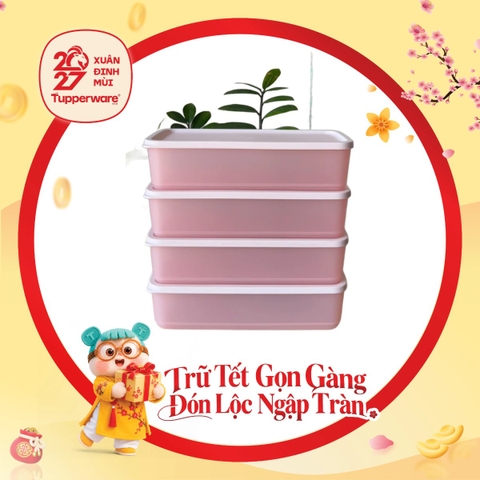 Hộp Trữ Mát Tupperware Cubix Rectangle 1.4L - Màu Hồng