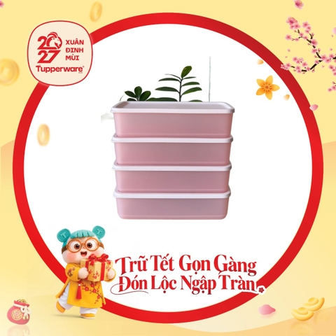 Hộp Trữ Mát Tupperware Cubix Rectangle 1.4L - Màu Hồng