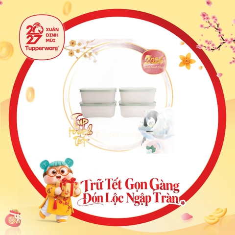 Hộp Trữ Đông Tupperware Freezable 450ml Đông Dẻo