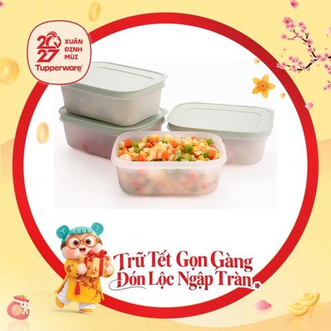 Hộp Trữ Đông Tupperware Freezable 450ml Đông Dẻo