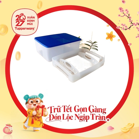 Hộp Trữ Đông Tupperware Có Khay Lót Đáy 5.7L