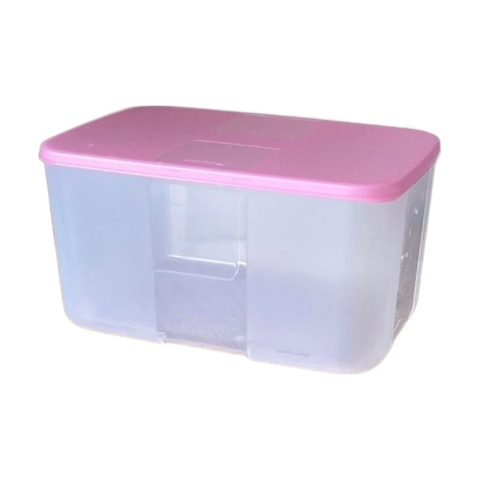Hộp Trữ Đông Tupperware 2.3L - Nắp Hồng