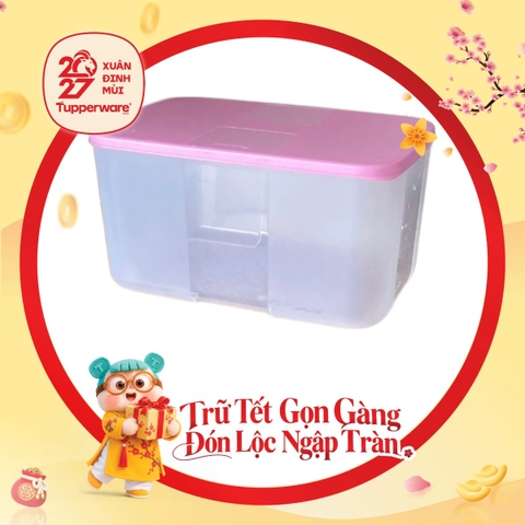 Hộp Trữ Đông Tupperware 2.3L - Nắp Hồng