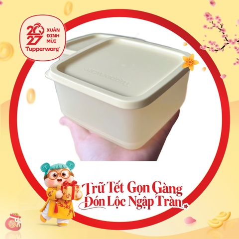 Hộp Trữ Mát Tupperware Cubix Square 650ml & 1L