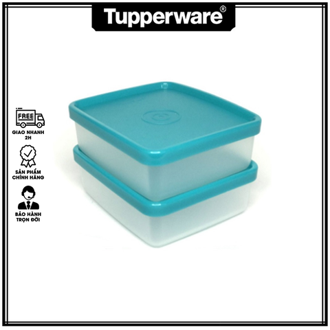 Hộp Đông Tupperware Mini Square 150ml (1 hộp)