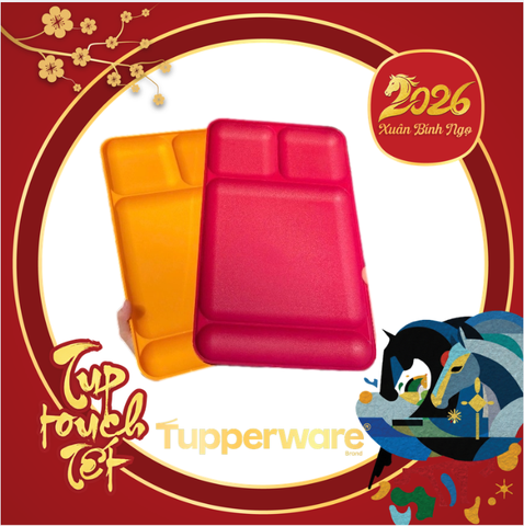 Khay Đựng Thực Phẩm Tupperware Vintage 1535 Divided Trays - Chia 4 Ngăn - Tupperware Malaysia Chính Hãng