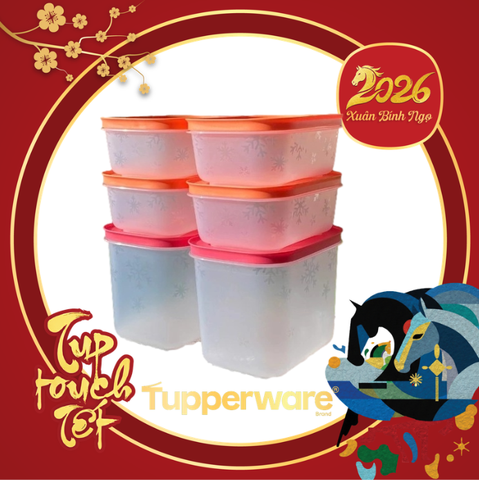 Bộ 6 Hộp Tupperware Trữ Đông  4 Hộp 450ml+2 Hộp 1.1L - Nắp Cam - Thân Trong Bông Tuyết  - Tupperware Trung Chính Hãng