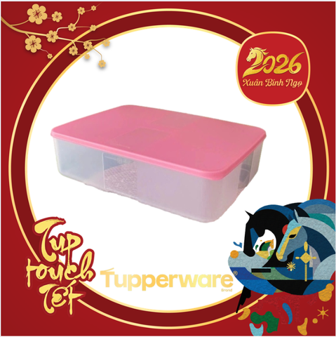 Hộp Tupperware Trữ Đông  3.1L Essential - Tupperware Malaysia Chính Hãng