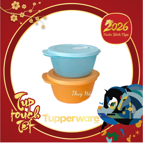 Hộp LVS 800ml Tupperware