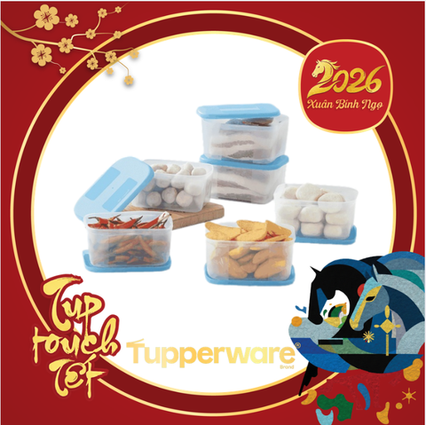 Combo Tuptrung Set 6 Hộp Đông Basic 650ml Nắp Xanh (6 Hộp)