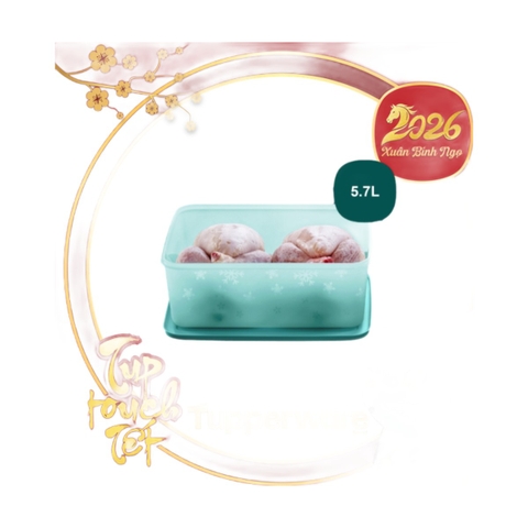 Hộp Trữ Đông Tupperware Freezermate Gen II 5.7L Đông Dẻo Cao Cấp