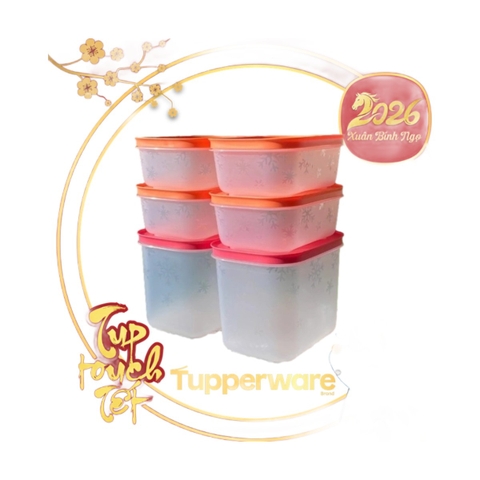 Bộ 6 Hộp Trữ Đông Tupperware Bông Tuyết 450ml & 1.1L - Nắp Cam