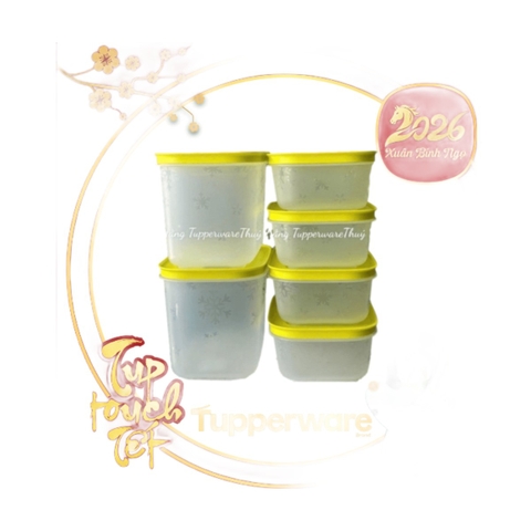 Bộ 6 Hộp Trữ Đông Tupperware Bông Tuyết 450ml & 1.1L - Nắp Cốm