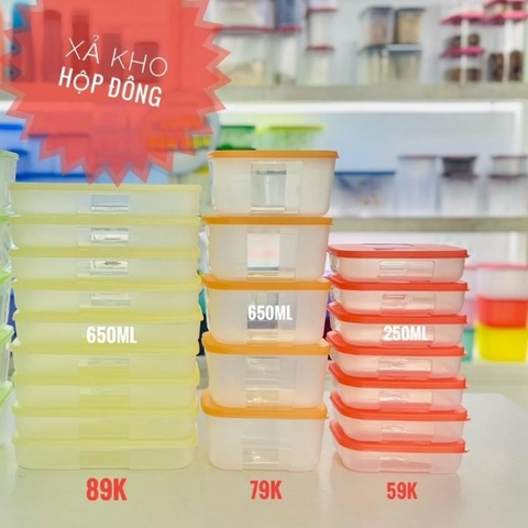 Hộp Tách Set Freezemate Colorful 8 (01 Hộp)