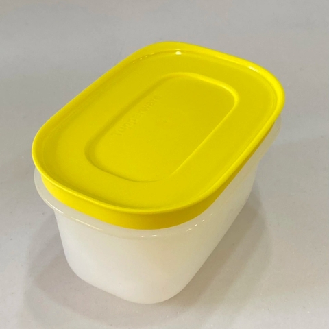 Hộp Tupperware Trữ Đông Mini Freezermate Gen II 170ml (01 Hộp)