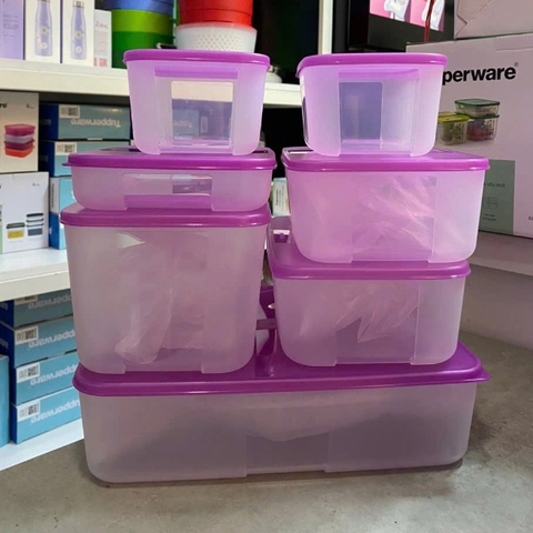 Hộp Tupperware Trữ Đông  3.1L Essential - Tupperware Malaysia Chính Hãng