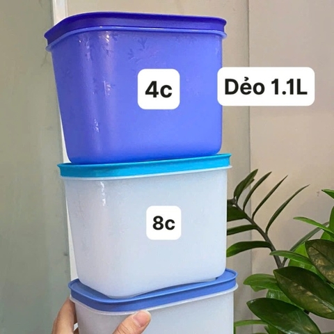 Hộp Tupperware Trữ Đông Dẻo Cao Cấp Chill Freez Medium High 1.1L- Tupperware Malaysia Chính Hãng