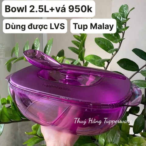Tupmalay Tô Cơm Clear Bowl Kèm Vá Nắp Thân Trong