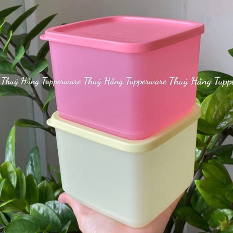 Bộ Hộp BQTP Medium Squar Round 1L (4 hộp)