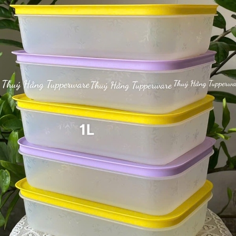 Tuptrung - Hộp đông thân trong 1L - màu tím