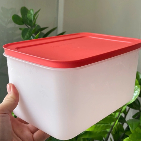Tuptrung - Hộp đông dẻo 2.5L - nắp đỏ