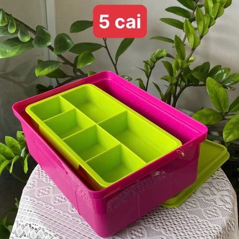 Bộ Khay Tupperware Đựng Sushi, Topping 2 ngăn Fun Keeper - Tupperware Malaysia Chính Hãng