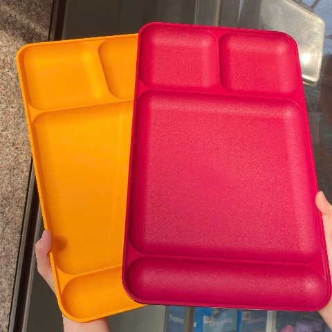 Khay Đựng Thực Phẩm Tupperware Vintage 1535 Divided Trays - Chia 4 Ngăn - Tupperware Malaysia Chính Hãng