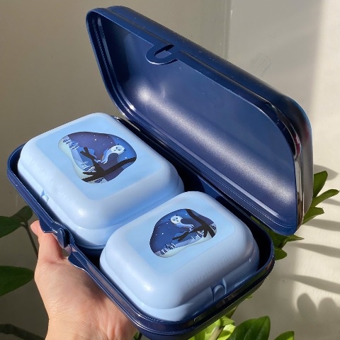 Bộ 3 Hộp Tupperware Oyester - Đựng Humberger, Snack Màu Xanh  - Tupperware Malaysia Chính Hãng