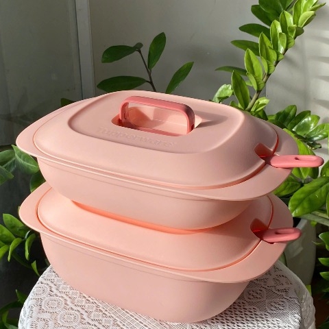 Thố Đựng Cơm Tupperware Gourmet Set Server Bekas Hidang Lauk Dengan Penutup Food Container with Lid - Kèm Vá Nhựa Mềm Đục - Tupperware Malaysia Chính Hãng