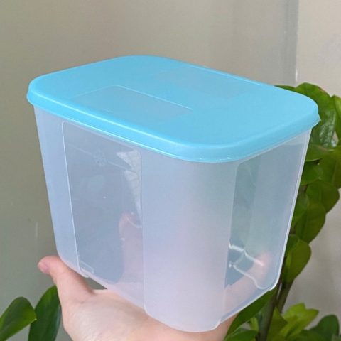 Tuptrung Hộp Đông Nắp Xanh Paradise Đủ size