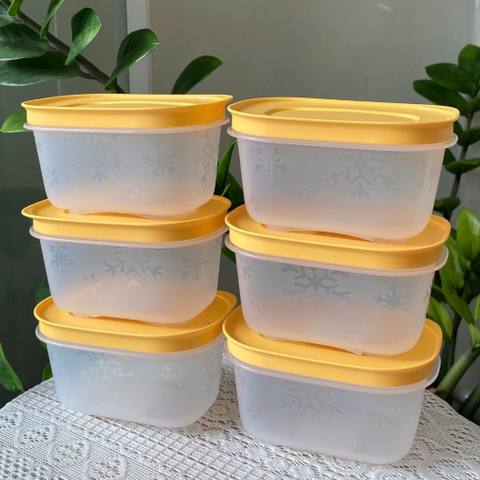 Tuptrung - Hộp Đông 170ml Thân Trong Nắp Vàng (01 Hộp)