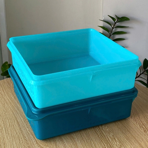 Tupmalay - Hộp Vuông Trữ Mát Mosaic Keeper 2.9 L (1 Hộp)