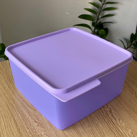 Hộp Tupperware Trữ Mát Vuông Snack & Stack - Tupperware Malaysia Chính Hãng