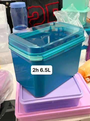 Hộp Tupperware Trữ Mát Ezy Rectangular Keeper 6.5L - Nắp Liền - Tupperware Malaysia Chính Hãng