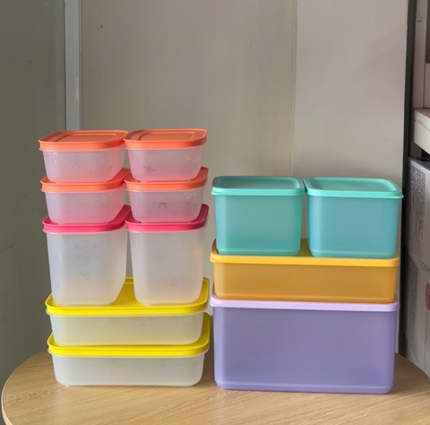 Combo 12 Hộp Đông Mát Tupperware