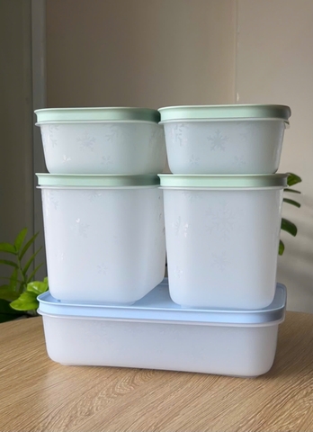 Hộp đựng thực phẩm Tupperware trữ đông Gen II - New Tupperware